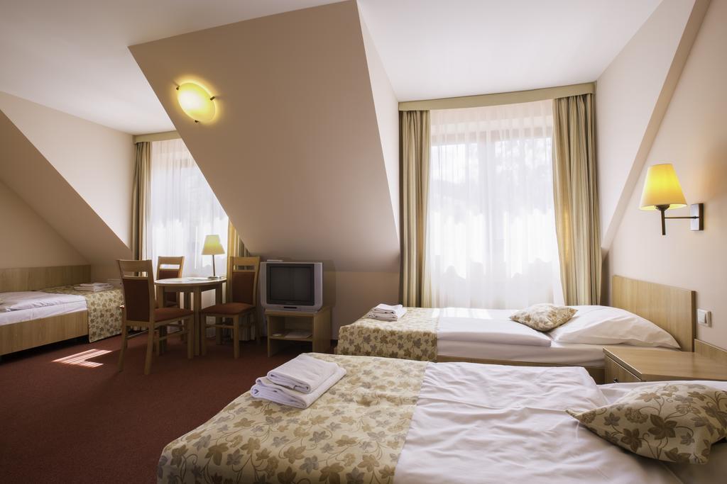 Ski Hotel Piwniczna-Zdroj エクステリア 写真